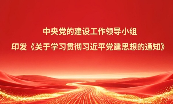 进建贯彻习近平党建思想